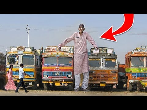 فيديو: أطول رجل في التاريخ