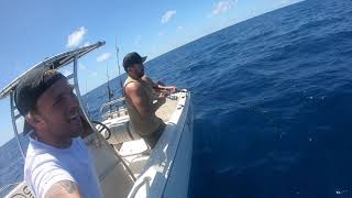 FNQ GREAT BARRIER REEF - INSANE FISHING AND FREE DIVING - THIS IS HOW WE DO IT IN AUSTRALIA