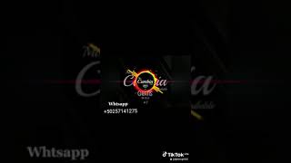 Mix cumbias Bailables dj Elvis gt