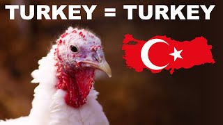 Why the turkey is named after Turkey (and India)