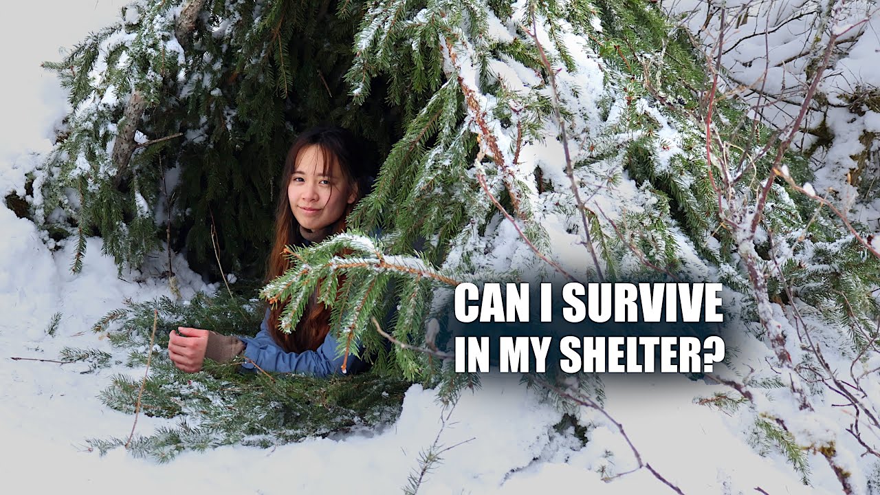 Solo Winter Camping in Rain & Snow Building a Survival Shelter ️🌲 - YouTube