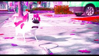 Pets - Go Home Max Sponsored By Preview 2 Mokou Deepfake Effects