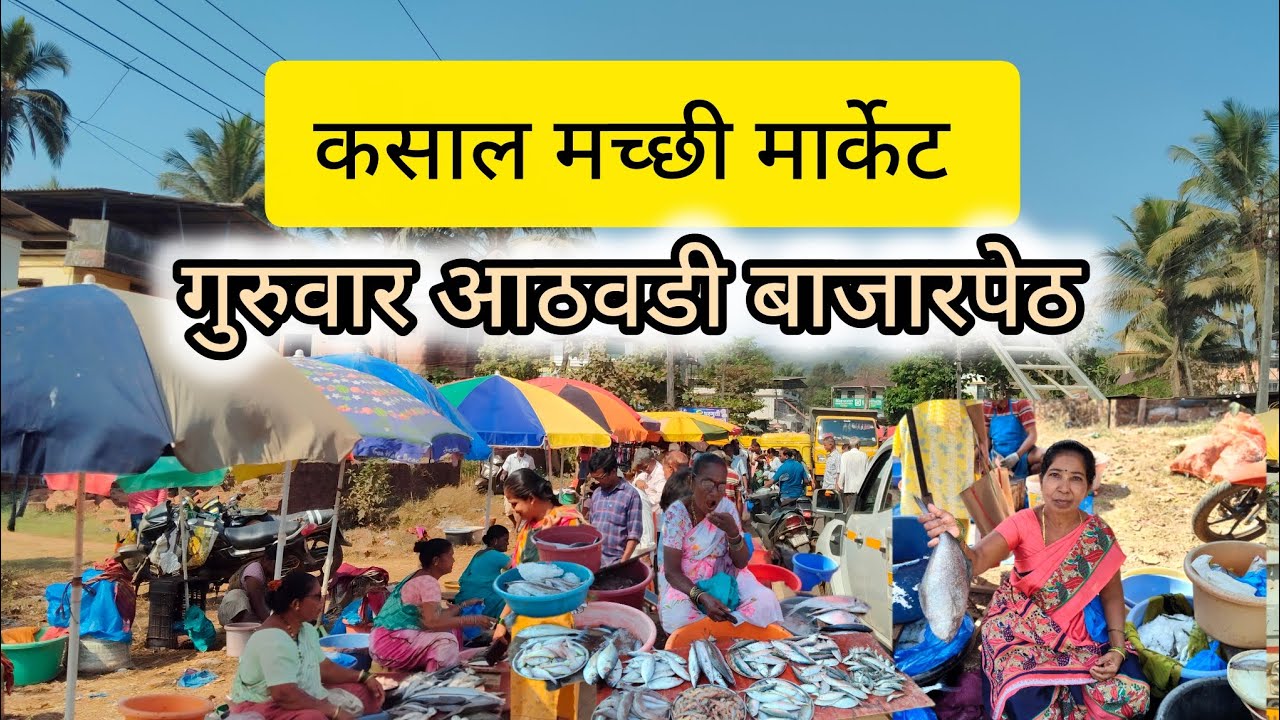 कसाल मच्छी मार्केट 🐟🦐गुरुवार आठवडी बाजारपेठ  #trend #sindhudurg #fishmarket 