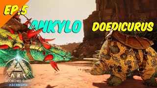 Taming Doedicurus and Ankylosaurus in Ark Ascended Scorched Earth | #arkascended #taming