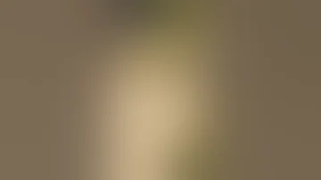 ايه قله الادب دى عيب كده 
