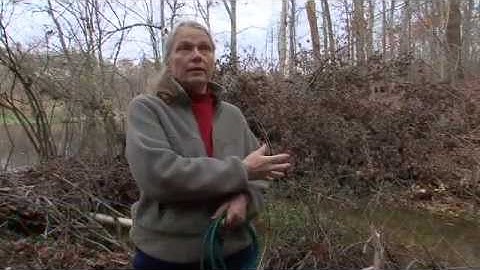 Ecosystems on the Edge: Tracking Mercury