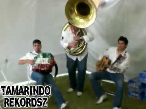 LA TUBA CHICOTEADA - TERCIA DE REYES Y SU TUBA LOCA..!