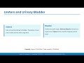 Renal System Nursing: Anatomy, Physiology, Pathophysiology & Exams