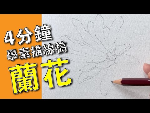 4分鐘學素描線稿蘭花【屯門畫室】