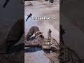 Finger physics in multi- MADE YOU LOOK!  #vrgames  #quest3