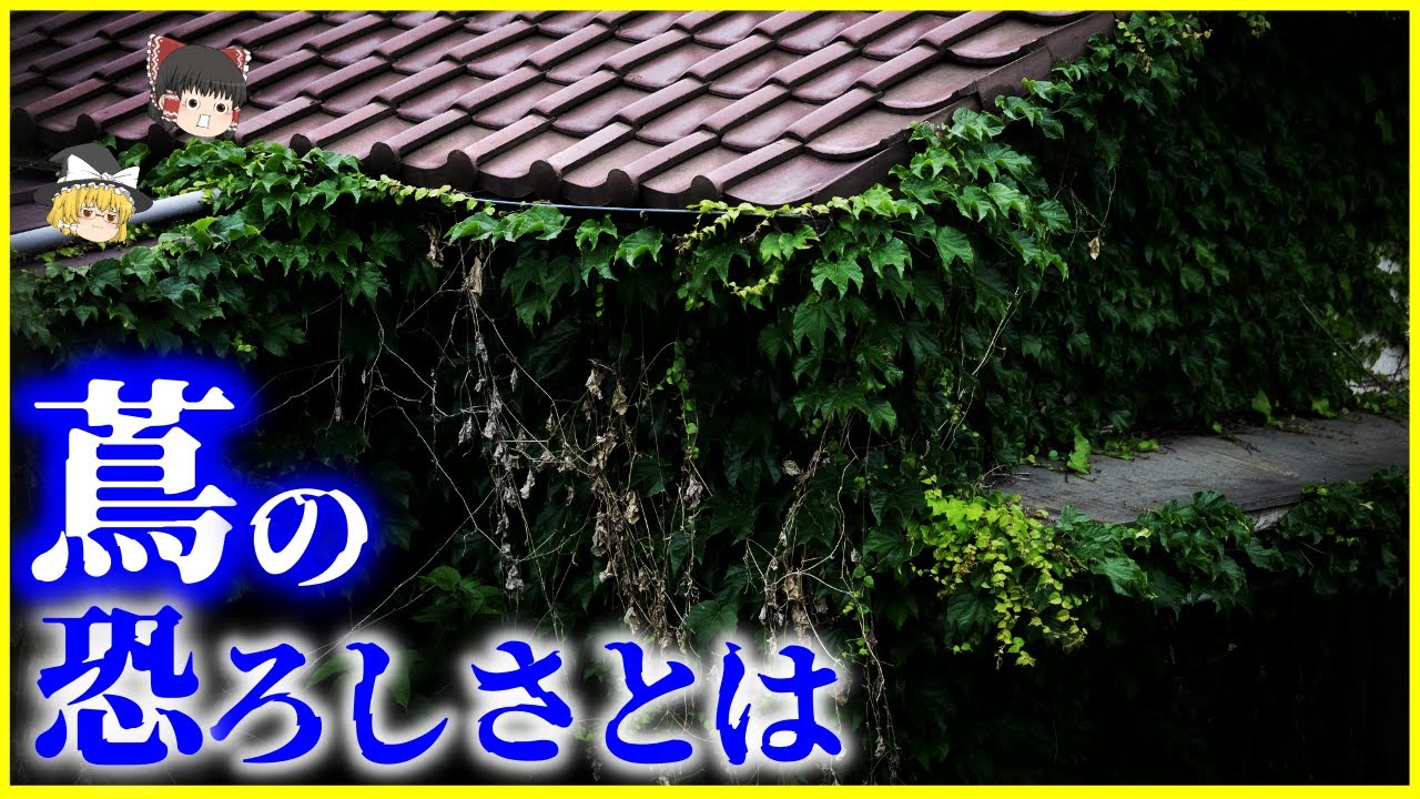 【ゆっくり解説】蔦で覆われた建物の末路…「蔦（ツタ）」の恐ろしさとは？を解説/不動産価値を落とす⁉️蔦を生やすメリット・デメリット - YouTube