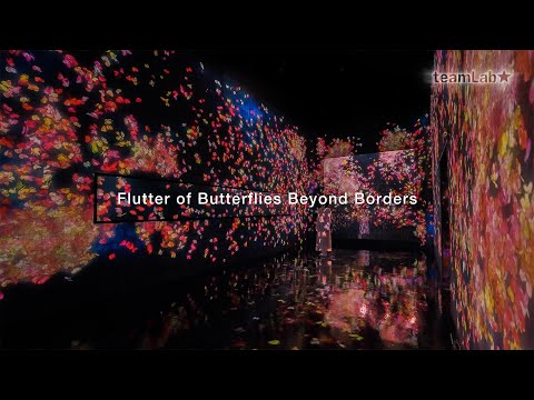 Flutter of Butterflies Beyond Borders