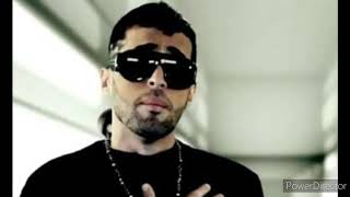 Dálmata - Cómo toda una señora