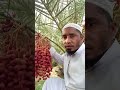 Besttilawatintheworld المصحف اكسبلور Bestquran Islamicscripture Food Islamictext Cooking Besttilawatintheworld المصحف اكسبلور Bestquran Islamicscripture Food Islamictext Cooking
