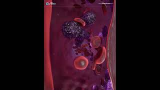 Show your oncology therapeutic with 3DforScience