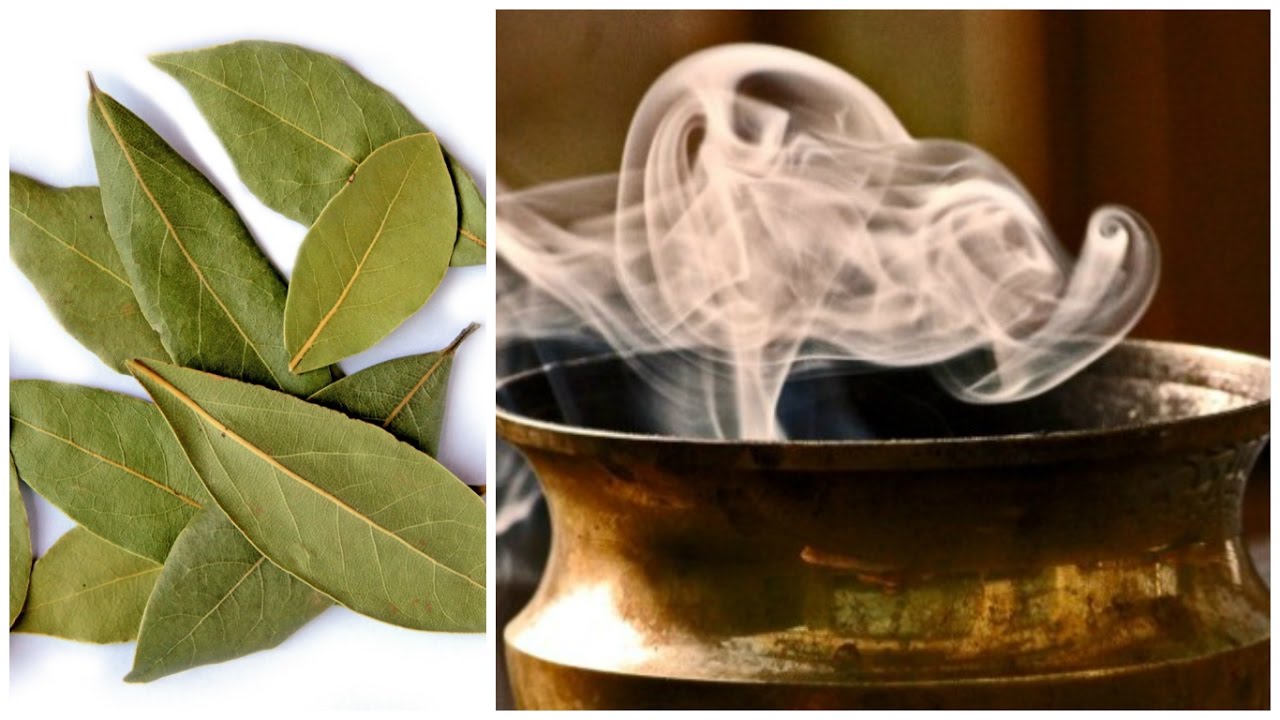 remedios naturales para la artritis El Laurel contra la ansiedad: remedio milenario a tu alcance