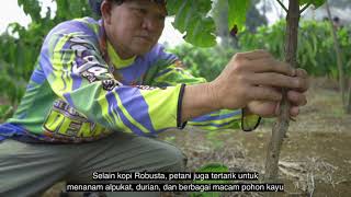 Empower Project 2018 2022 South Sumatra (Indonesia) with indonesian subtitles
