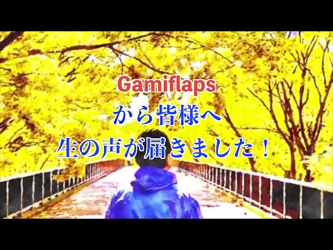 Gamiflaps から皆様へ生の声が届きました！