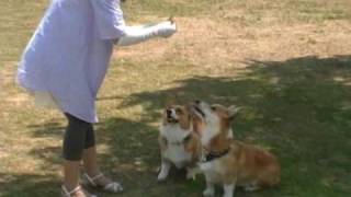 20090628オフ会 0001