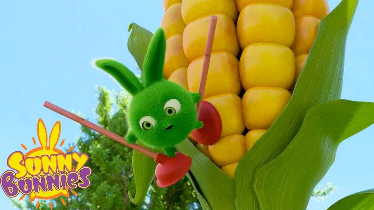 ⁣SUNNY BUNNIES - Giant Corn | Season 5 | Cartoons for Children