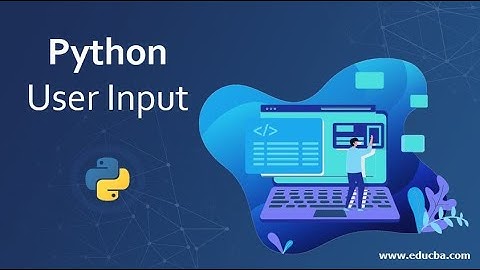 Python Tutorial #6 User Input