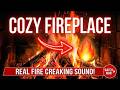 Cozy Fireplace Ambience 🔥 Relaxing Fire Sounds for Sleep & Study (30 Min)