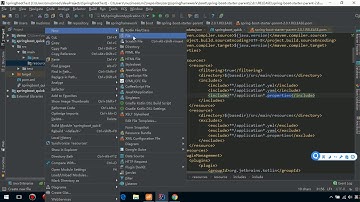 SpringBoot 15 SpringBoot的原理分析 自动配置3