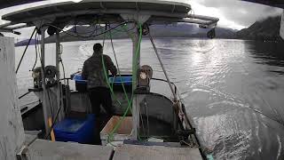 SPRING King SALMON Commercial Salmon Trolling in Alaska!