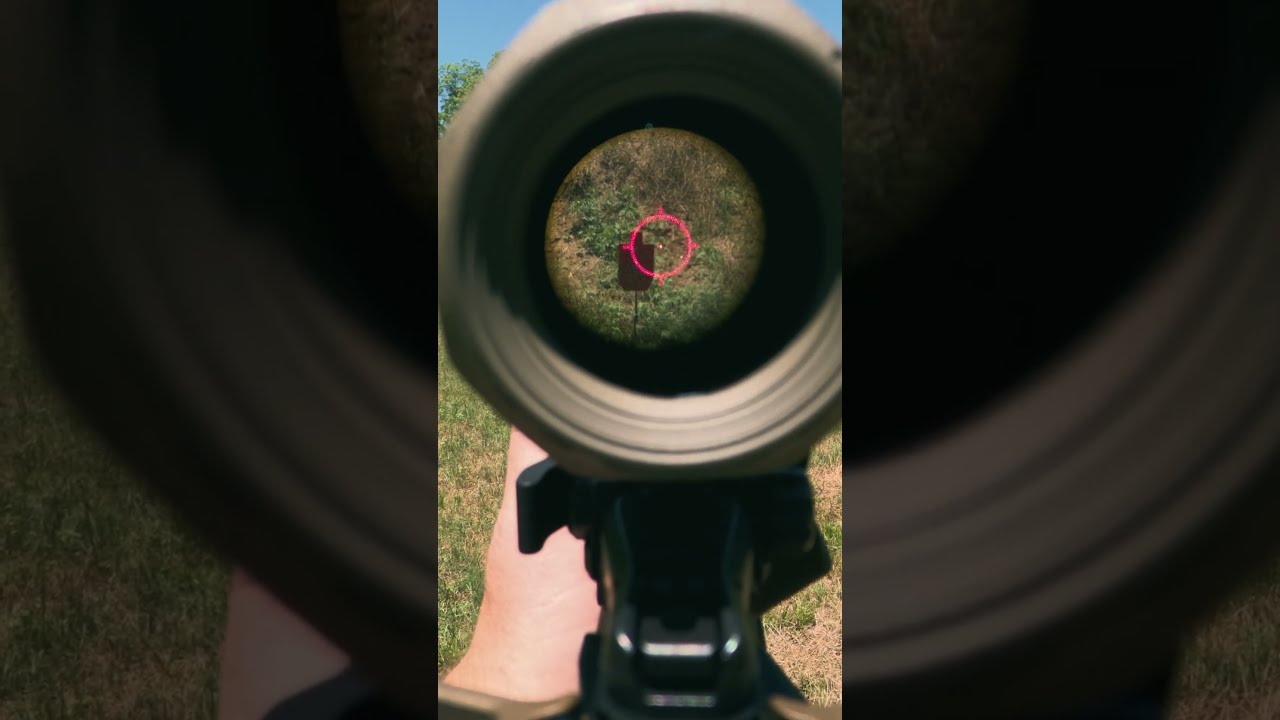 LPVO Vs Dot Magnifier Which Is Best For You 