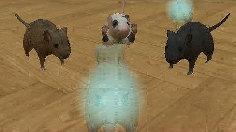 Three Mice Team Up To Attack Me But Can