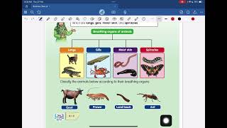 Science Year 4 - Chapter 3 (Animals)