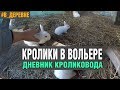 КРОЛИКИ В ВОЛЬЕРЕ\ОШИБКИ СТРОИТЕЛЬСТВА/ДЕРЕВЕНСКИЙ ВЛОГ