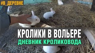 КРОЛИКИ В ВОЛЬЕРЕ\ОШИБКИ СТРОИТЕЛЬСТВА/ДЕРЕВЕНСКИЙ ВЛОГ