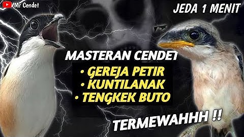 NGERIIII..!!MASTERAN CENDET TEMBAKAN GEREJA PETIR, KUNTILANAK DAN TENGKEK BUTO !!