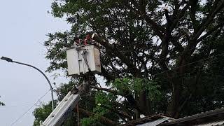 Download Lagu Rapih2 Pohon Pasar Pangkah Tegal MP3