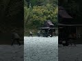 こういう時間って大切だよね