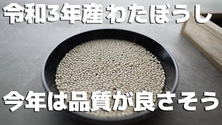 最終製品になったモチ米を検査する