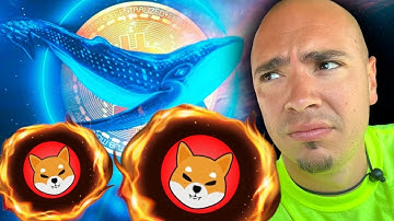 SHIBA INU Whale  $32M Binance Transfer SHOCKS Community!