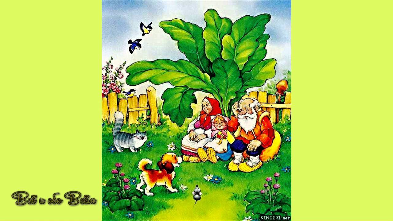 Репка фон фото — Каталог Фото