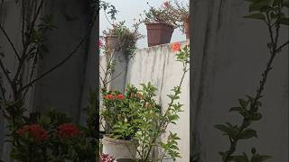 Download Lagu Fullgarden MP3