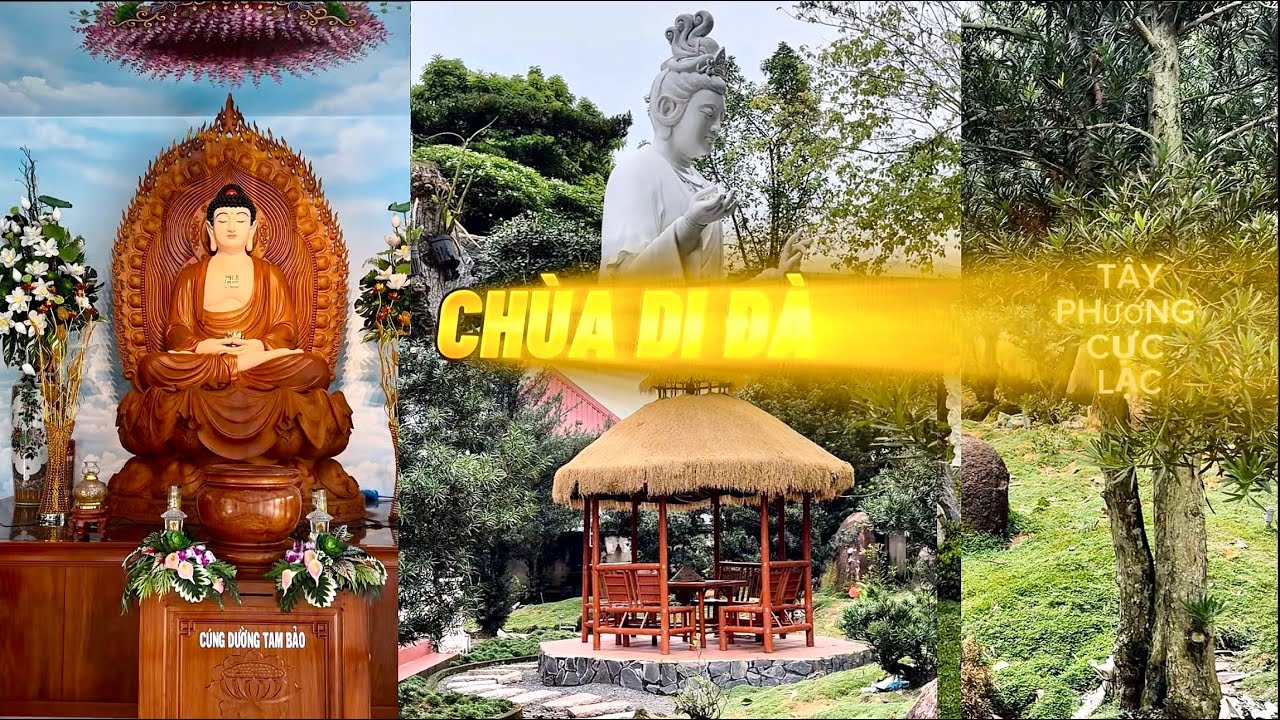 Tham Quan Chùa Di Đà Củ Chi, Nơi Du Lịch Tâm Linh Với Lối Kiến Trúc Hiện Đại Vùng Ngoại Ô.
