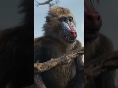 Be the First to Watch at Home Today. Buy It Now Only On Digital