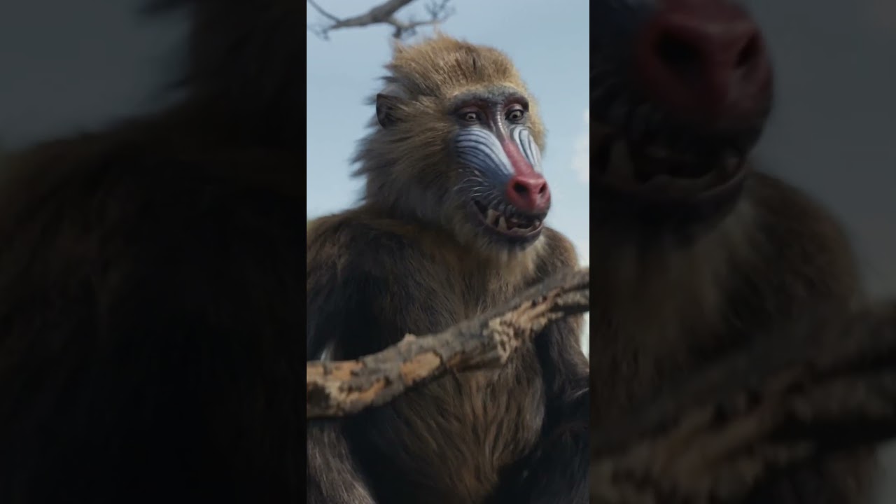 Be the First to Watch at Home Today. Buy It Now Only On Digital