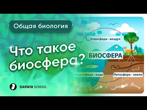 Что такое биосфера?