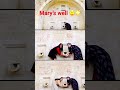 Israel, Nazareth, HolyLand, The Promised Land #shortforyoutube #shortvideo#shorysfeed#shortsviral