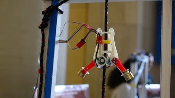 Bio-inspired dynamic rope climbing robot