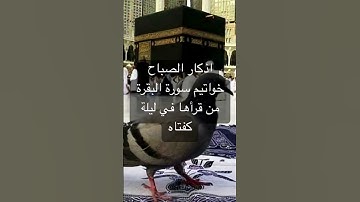 #اذكار #اذكار_الصباح #اذكار_الصباح_المساء #دعاء #راحة_نفسية #المصحف