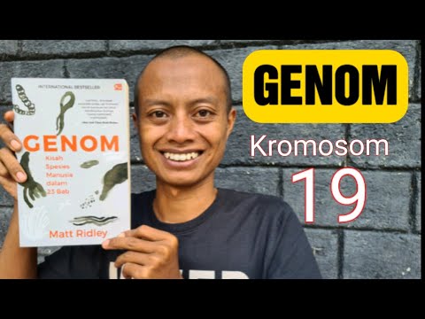 Video: Apa yang berlaku jika anda mempunyai 44 kromosom?