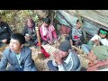 Areli kadale malai chwassai ll nisikhola naumati baja baglung rajkut 2080