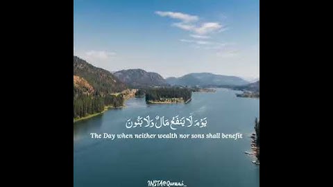 حالات واتس القران الكريم القارئ محمد النقيب